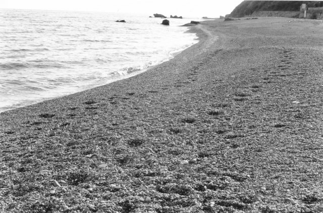 Spiaggia a natale 2001